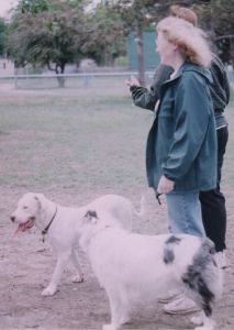 Blizzard, gwydion, Jennifer & Nancy