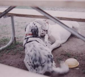 Shaina & Blizzard