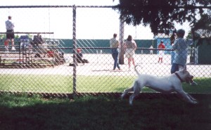 Blizzard after the ball