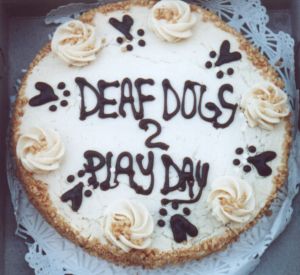 Cake from 3 Dog Bakery