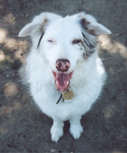 Gwen sitting