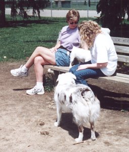 Ida, Jenifer, Mango & Gwen