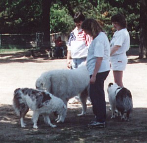 a small crowd